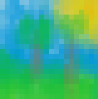 Pic.png