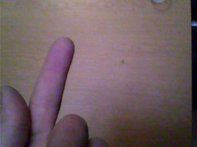 Picture 006.jpg