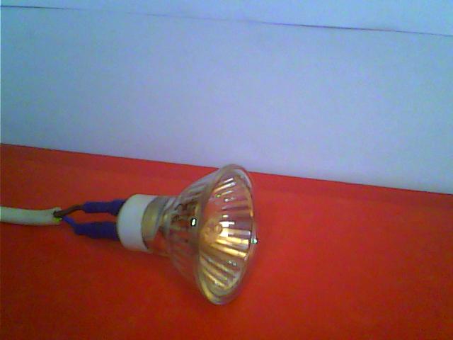 Picture 010.jpg