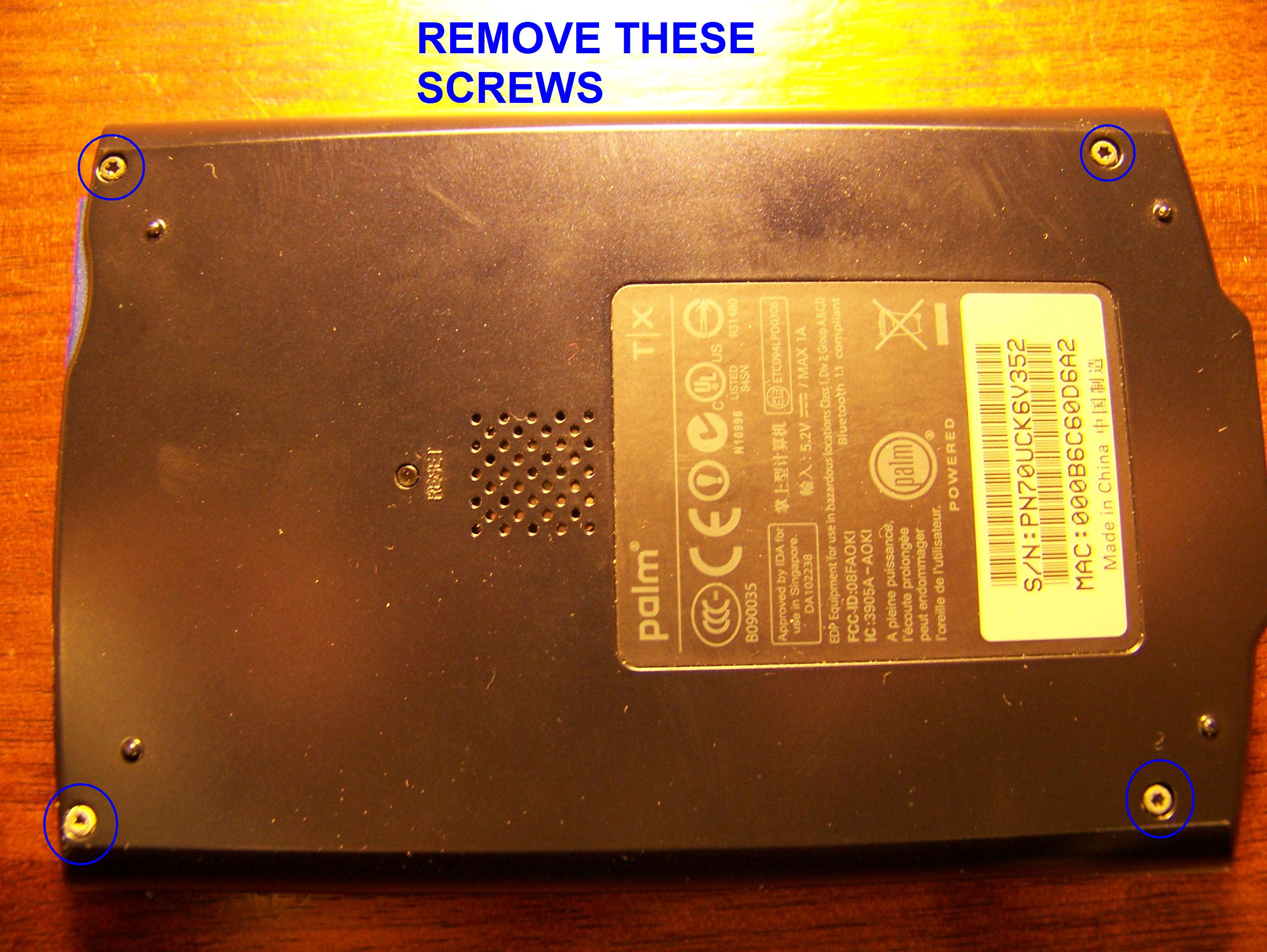 Picture 4564.jpg