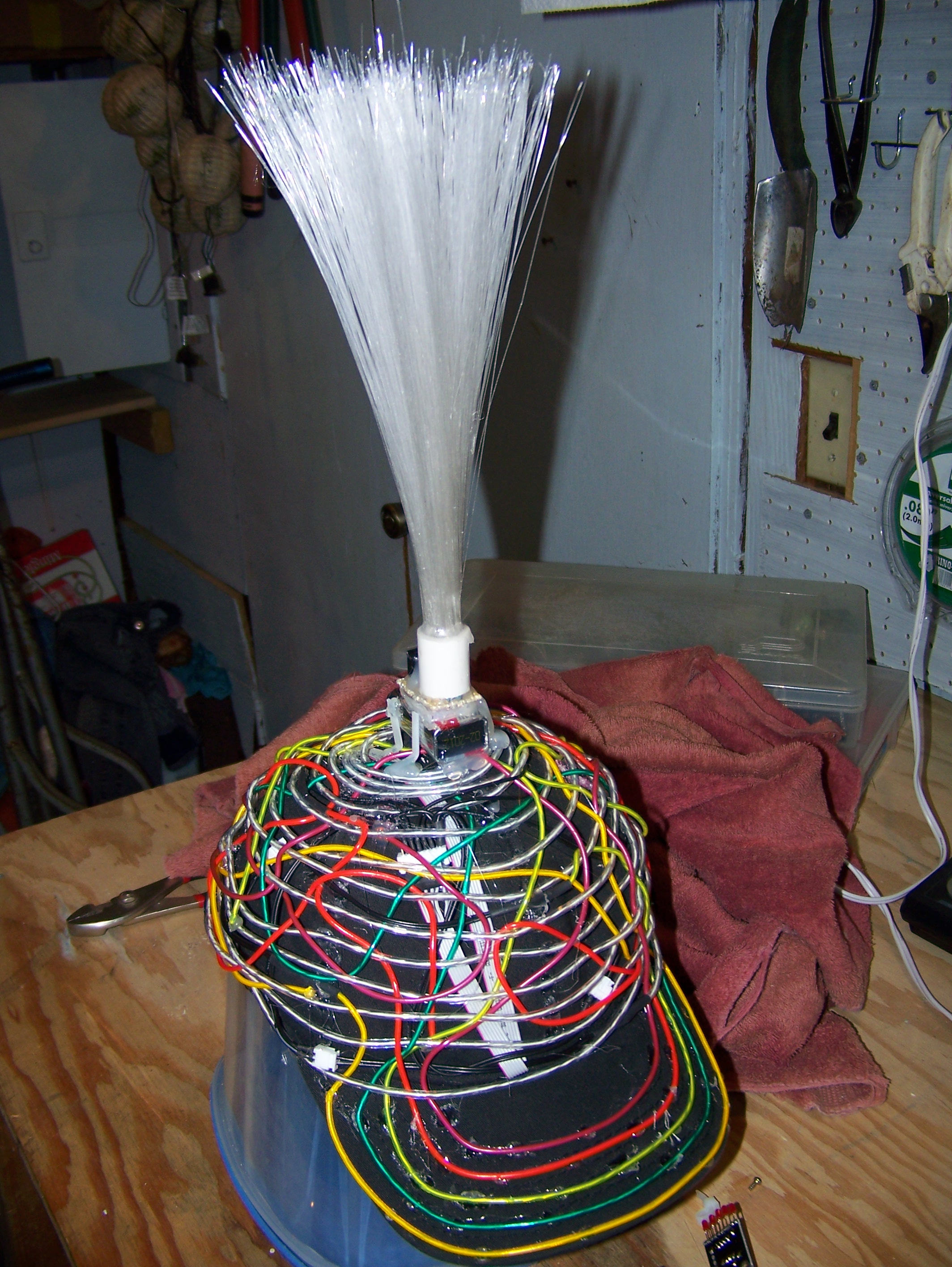 Picture 5407.jpg