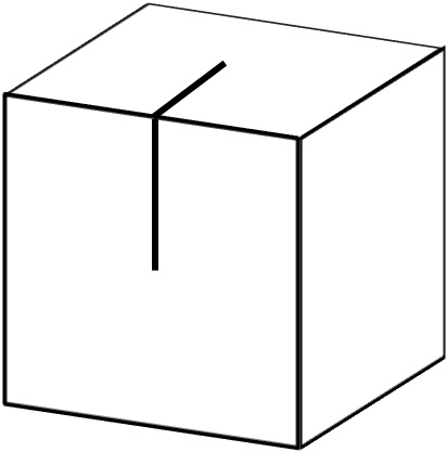 Picture2.jpg