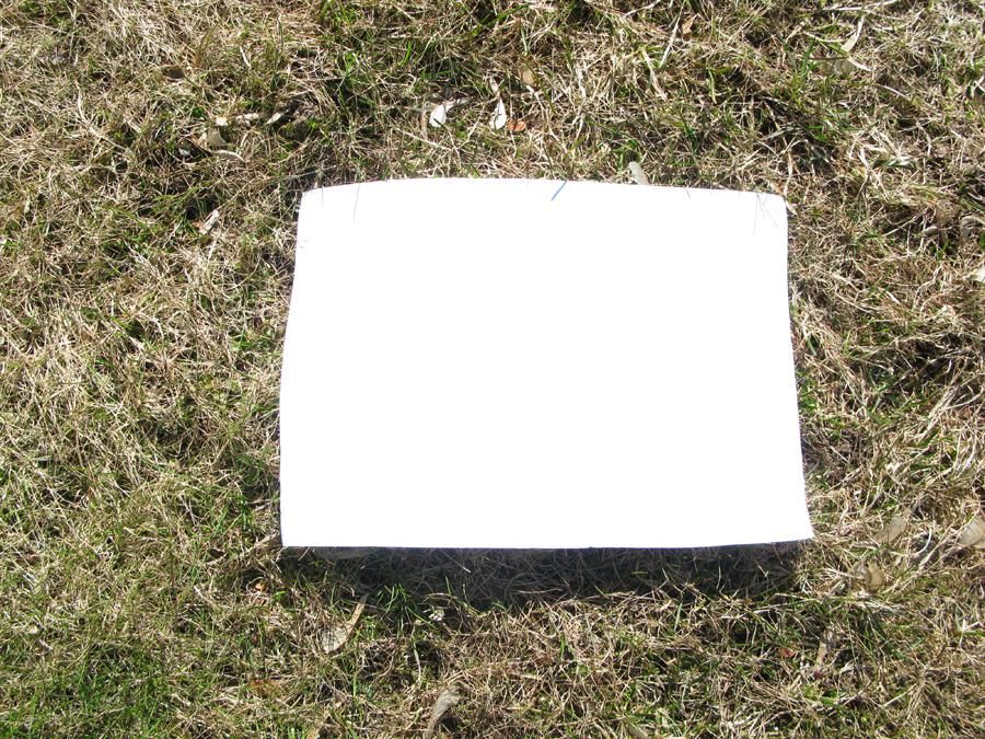 Picture8.jpg