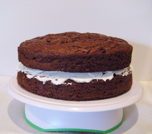 Pies and Cake! 025 (500x440).jpg