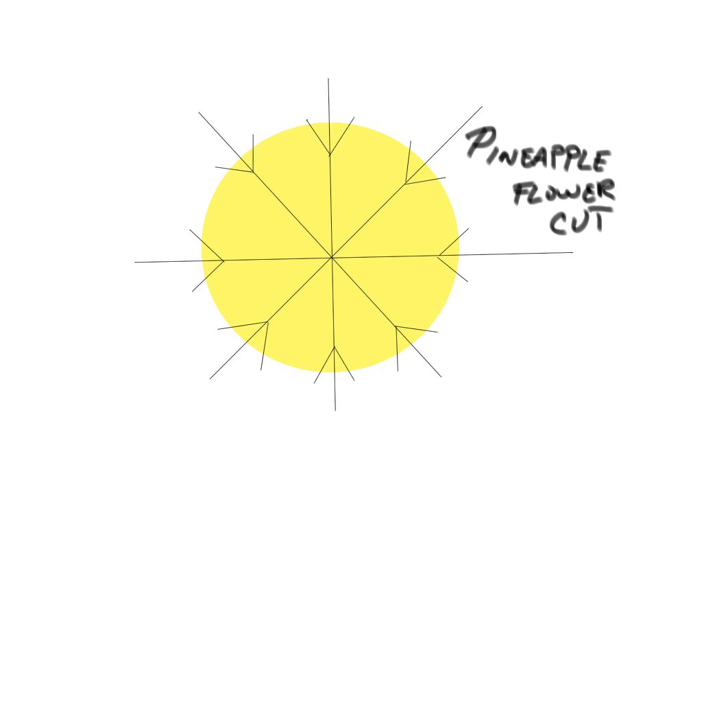 Pineapple Flower.jpg