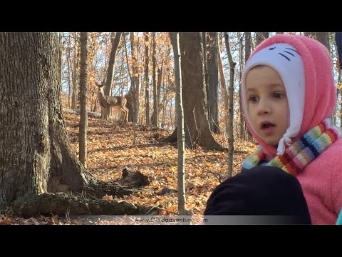 Pinecone Bird Feeder (Didn't expect this!)