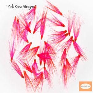 Pink-Rhea-Stinger-Squid-SBS-03.jpg