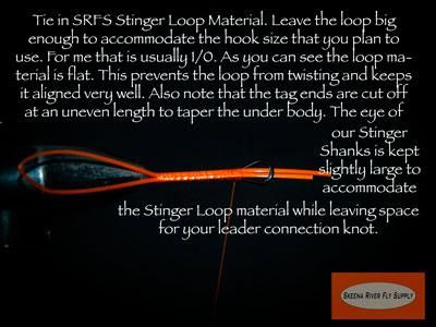 Pink-Rhea-Stinger-Squid-SBS-05.jpg
