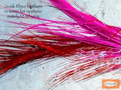Pink-Rhea-Stinger-Squid-SBS-07.jpg
