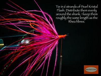 Pink-Rhea-Stinger-Squid-SBS-13.jpg