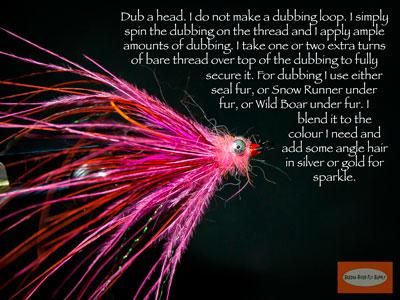Pink-Rhea-Stinger-Squid-SBS-15.jpg