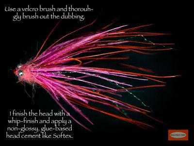 Pink-Rhea-Stinger-Squid-SBS-16.jpg
