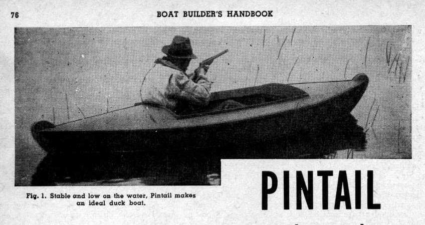 Pintail boat.jpg