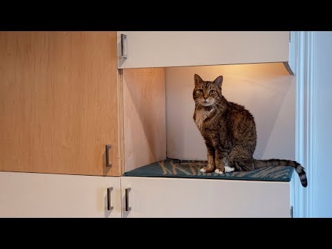 Plywood Storage Wall pt. 3 // Becky Stern