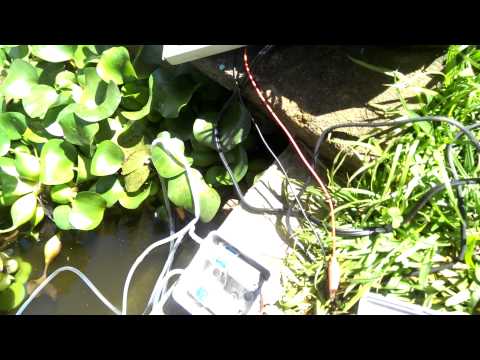 Pond Air System 12v