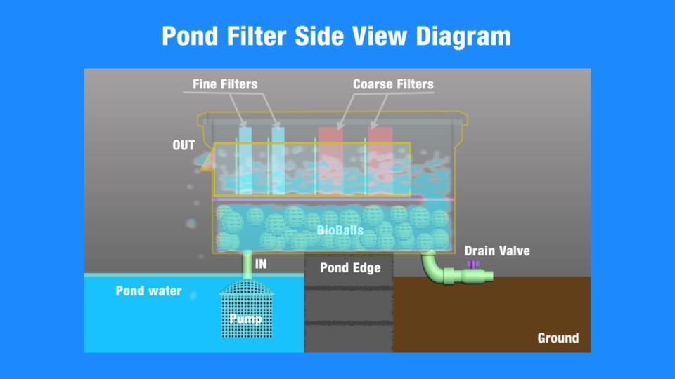 PondFilterDiagram