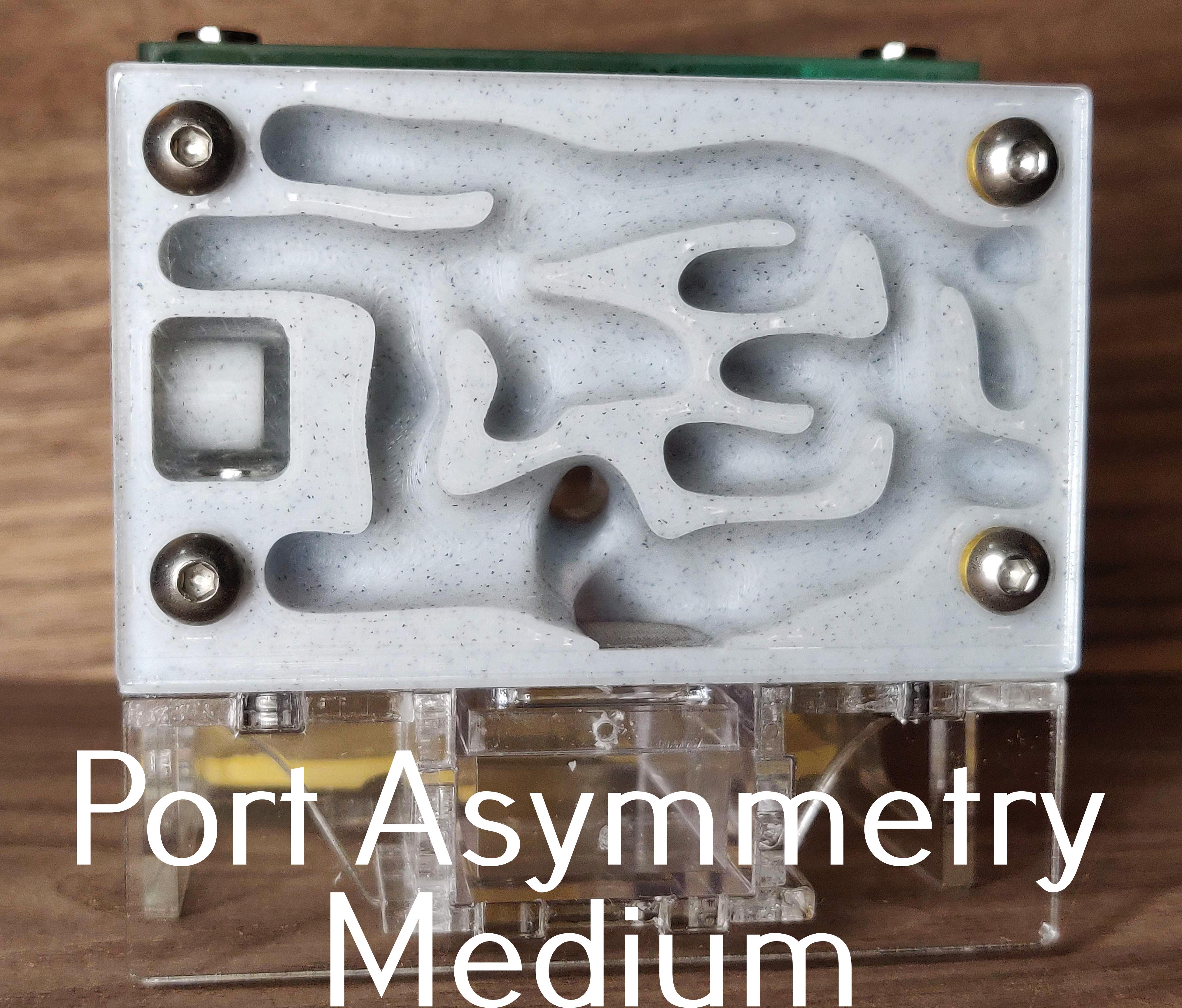 Port Asymmetry Medium.jpg