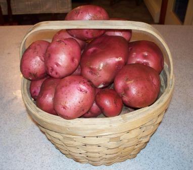 Potato%20Basket.jpg