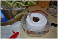 Pour Cleaning Solution into Paper Towel Holder.jpg