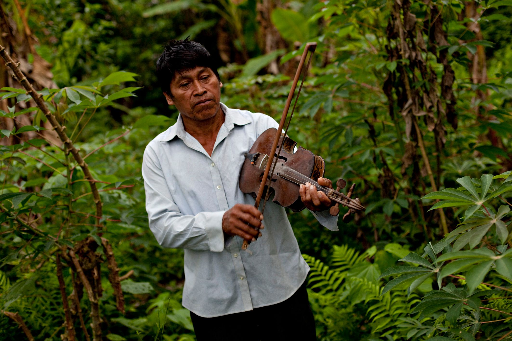 Practice in jungle.jpg