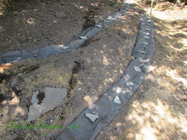 Prep for DIY stacked stone wall.JPG