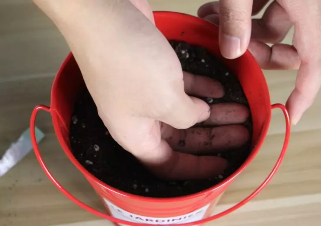 Prepare the Soil2.png