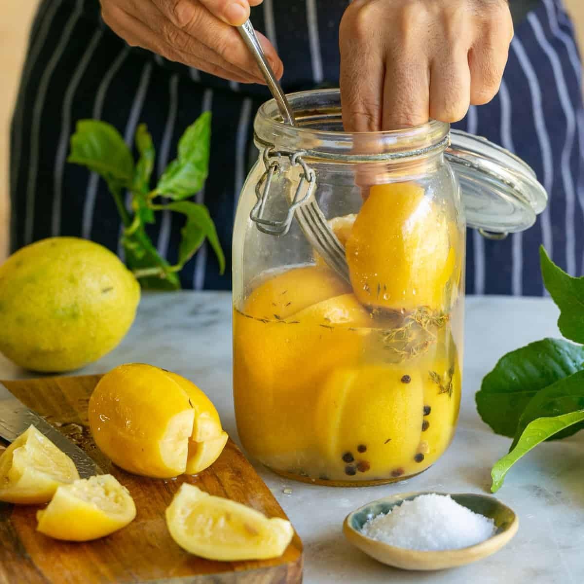 Preserved-Lemon-Thumbnail-24-of-1.jpg