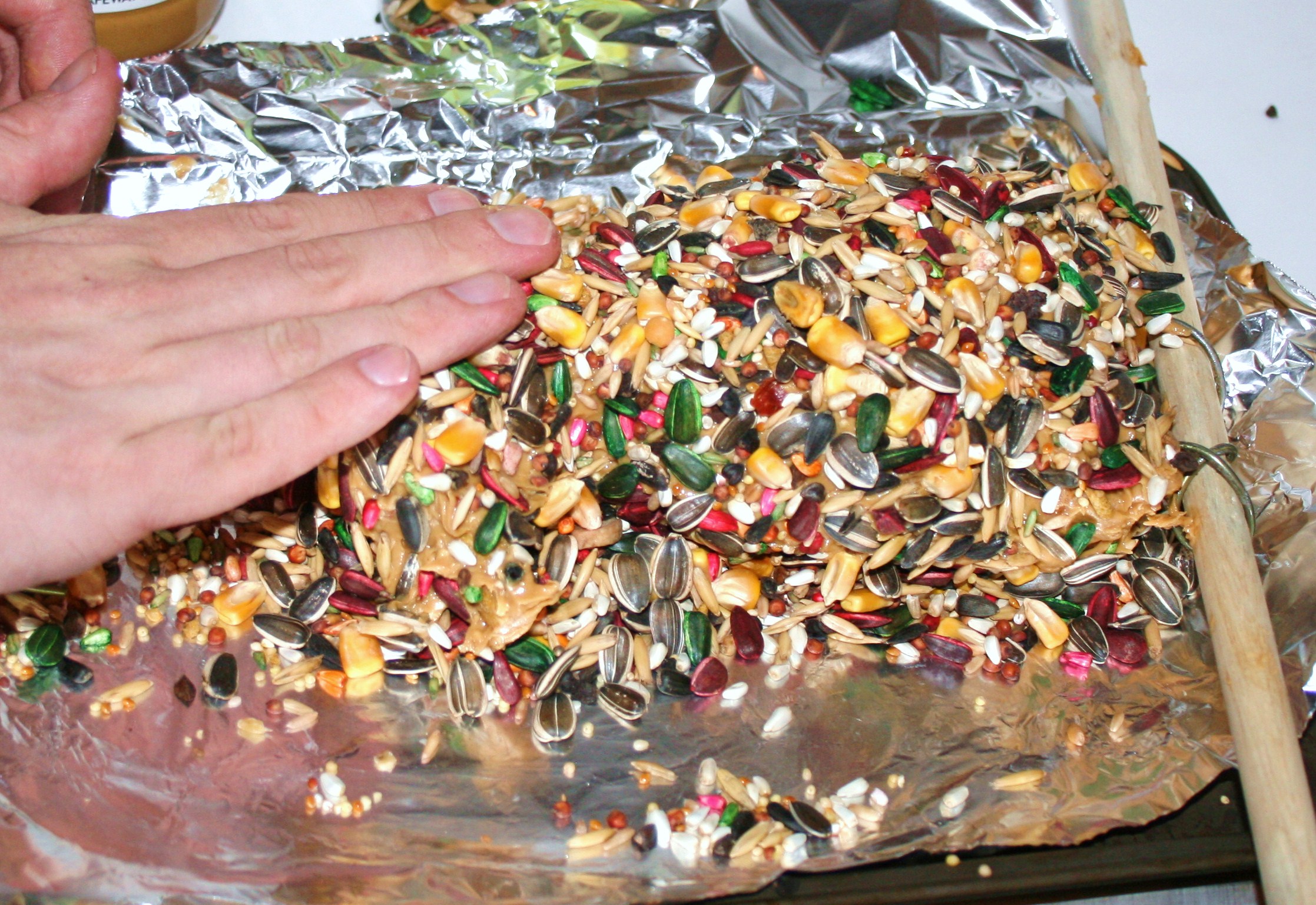Press in seeds.JPG