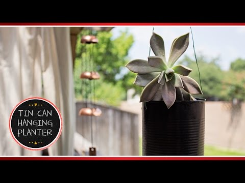Preval's Maker Minute: Upcycled Tin Can Planter