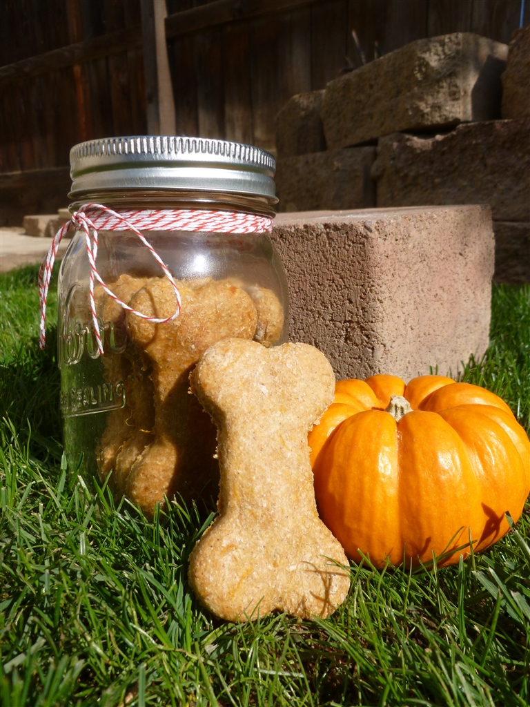 Pumpkin &amp; PB Dog Treat - DeandrasCrafts.jpg