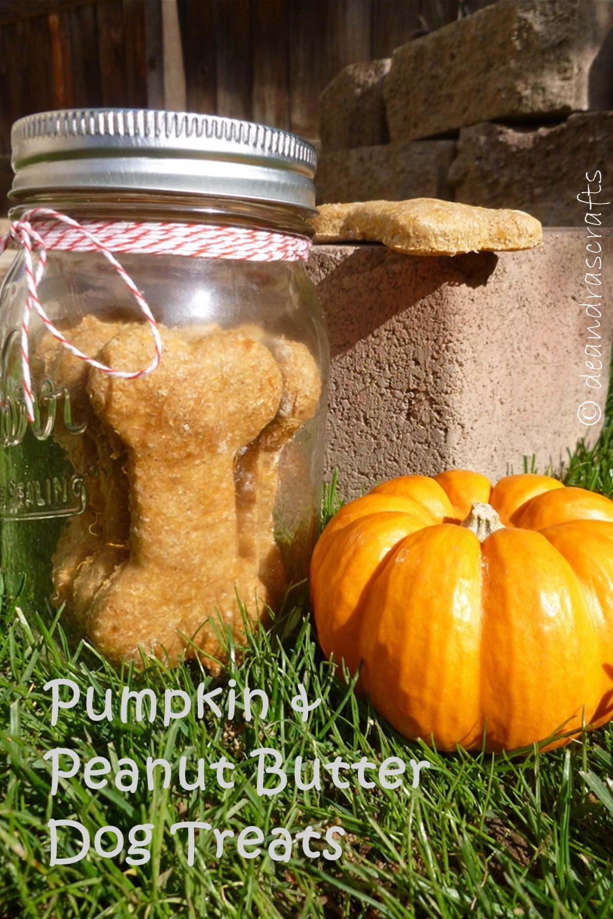 Pumpkin &amp; PB Dog Treats.jpg