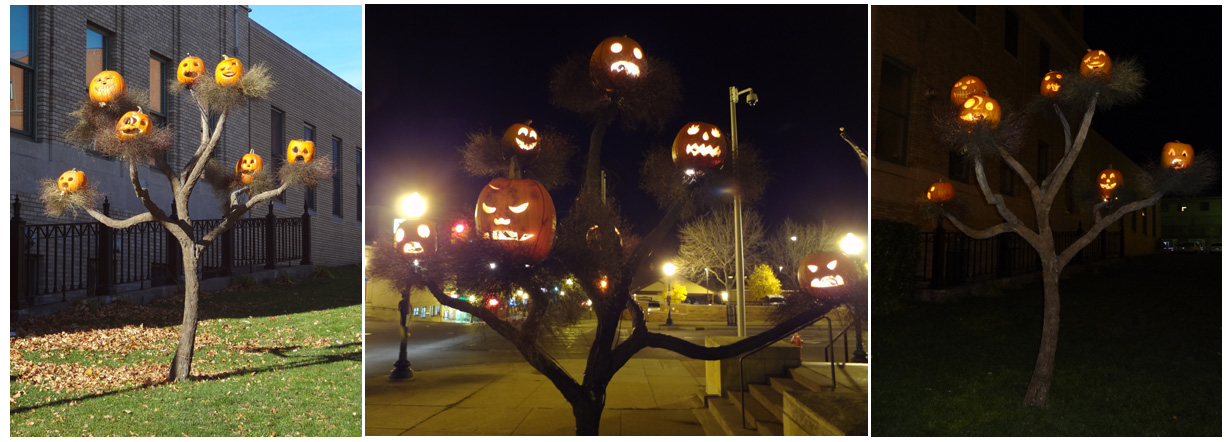 Pumpkin tree collage.jpg