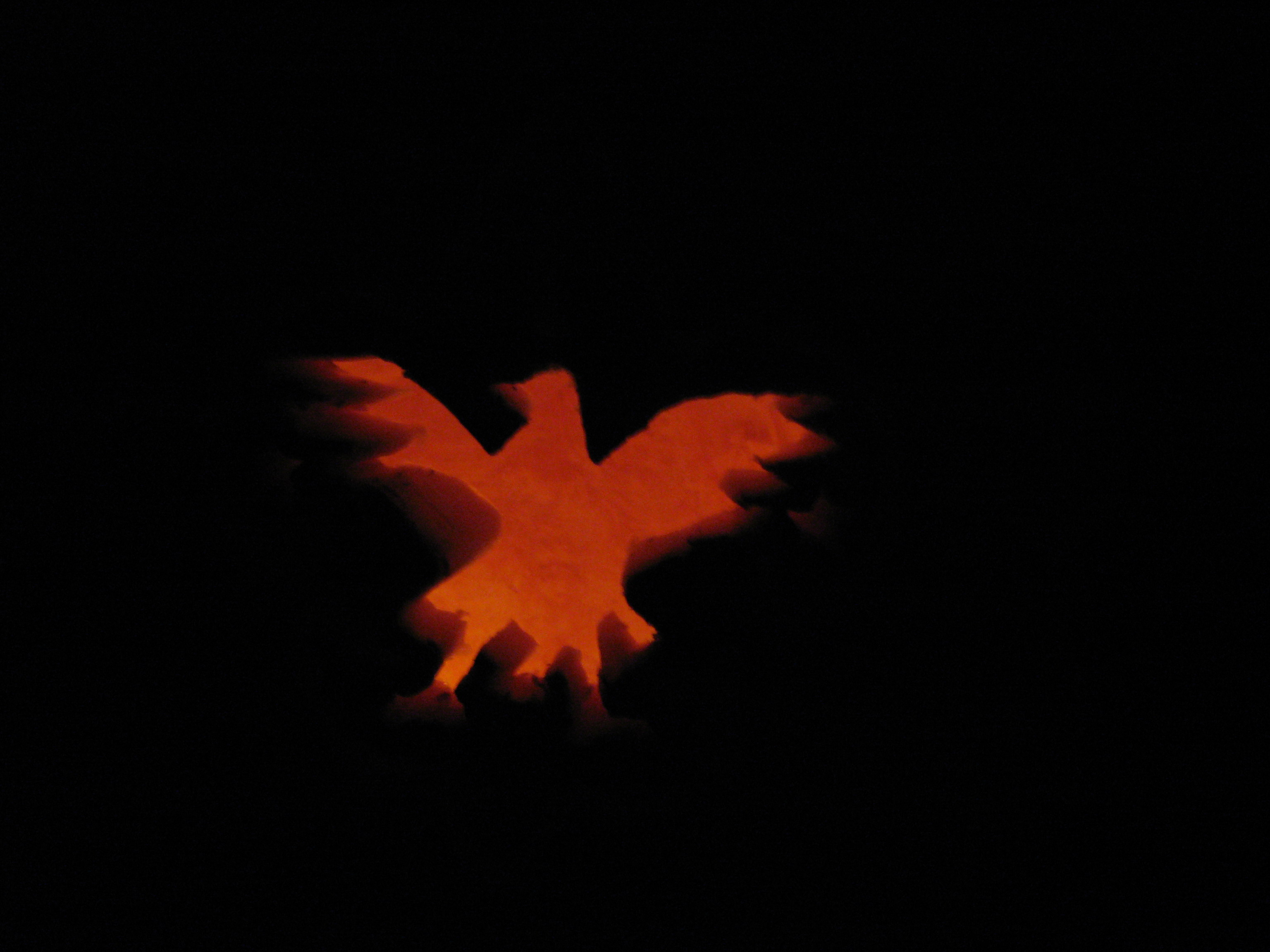 Pumpkin w/out shield (no flash)