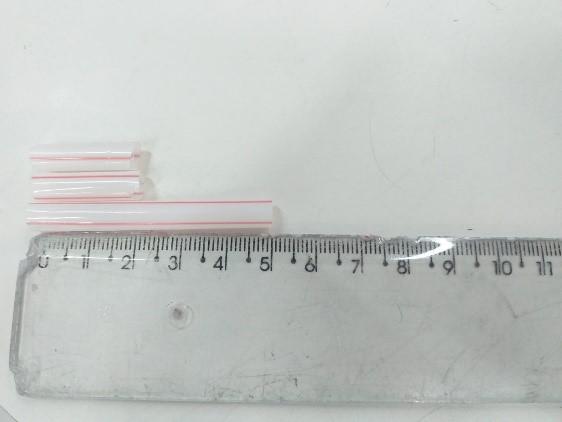 Quarto Passo (AD 1.9 BM Clara e Ol&iacute;via).jpg