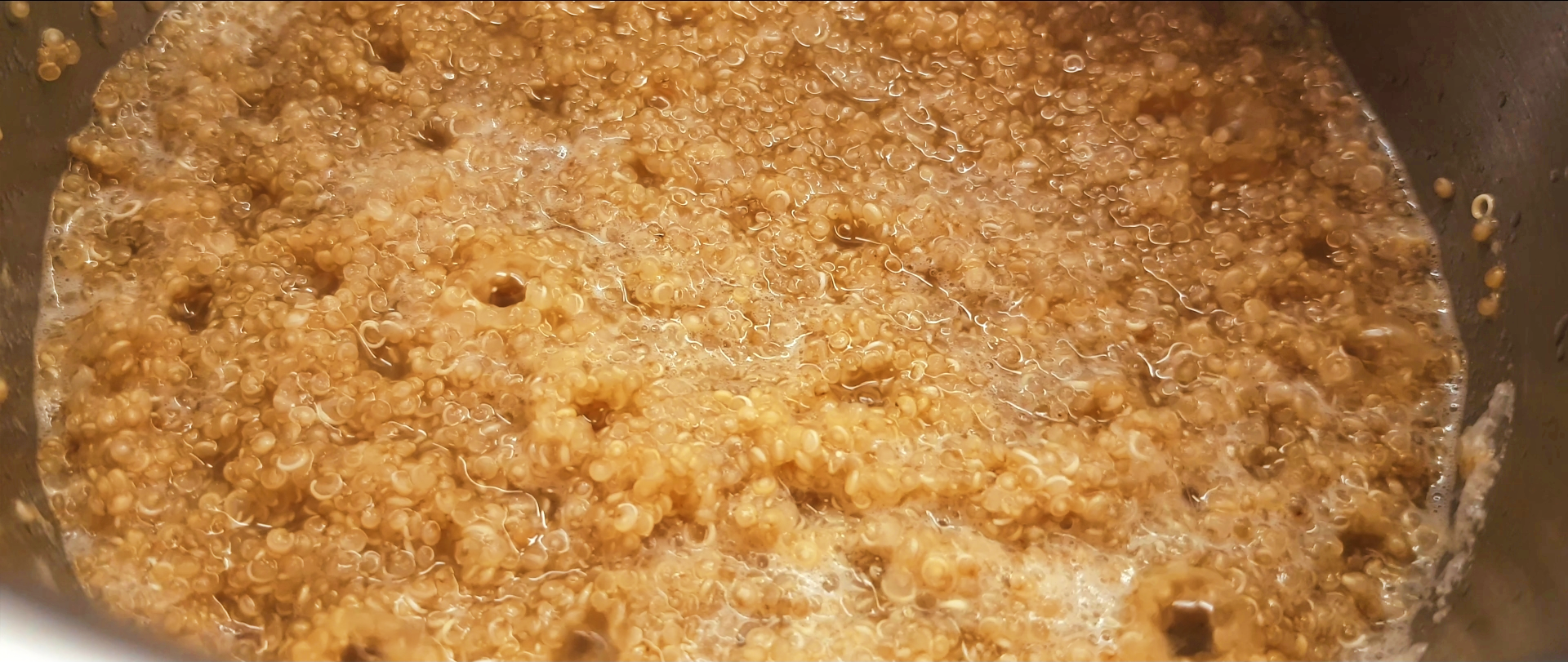 Quinoa2.png