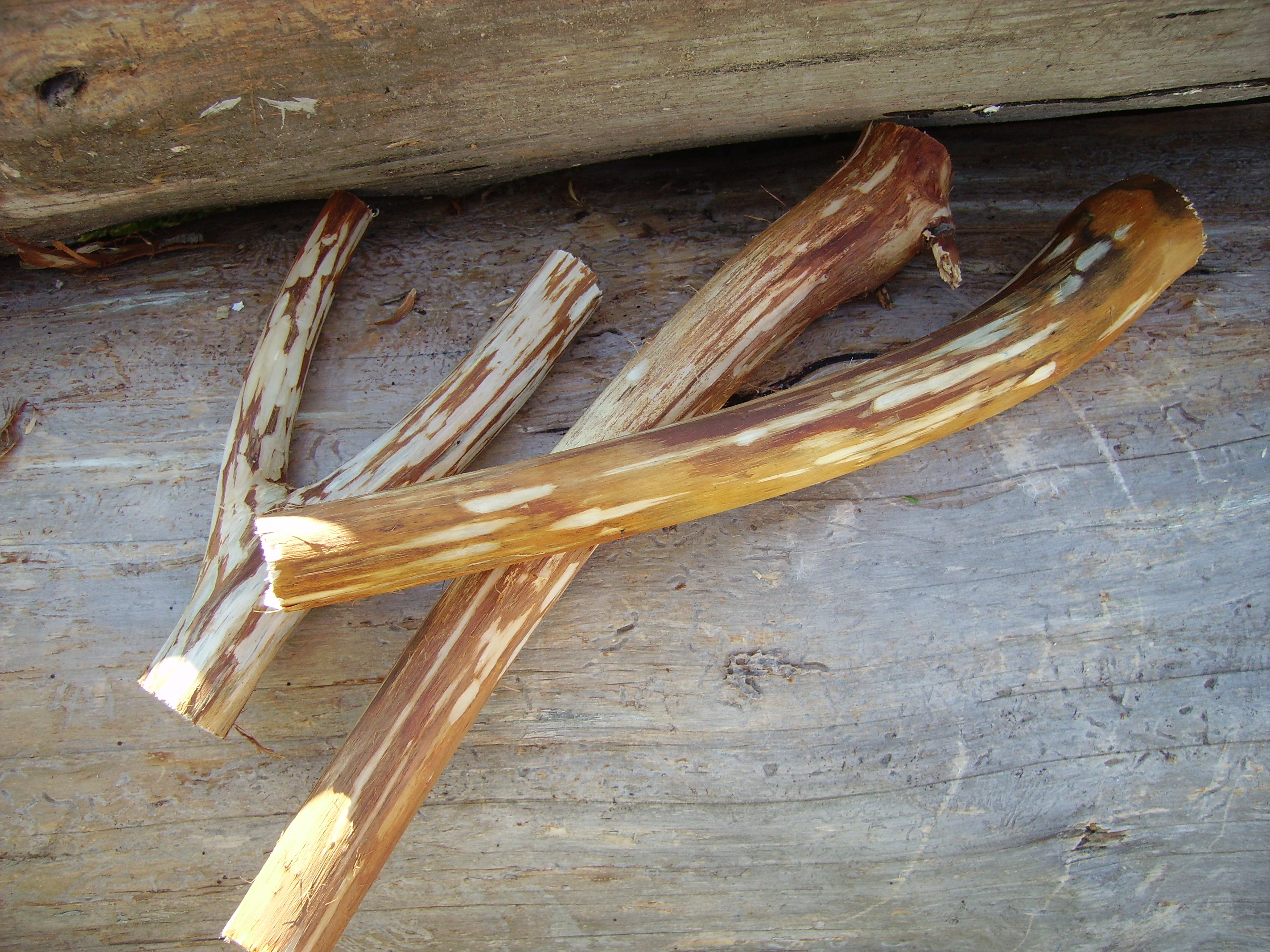 RIMG0944.JPG