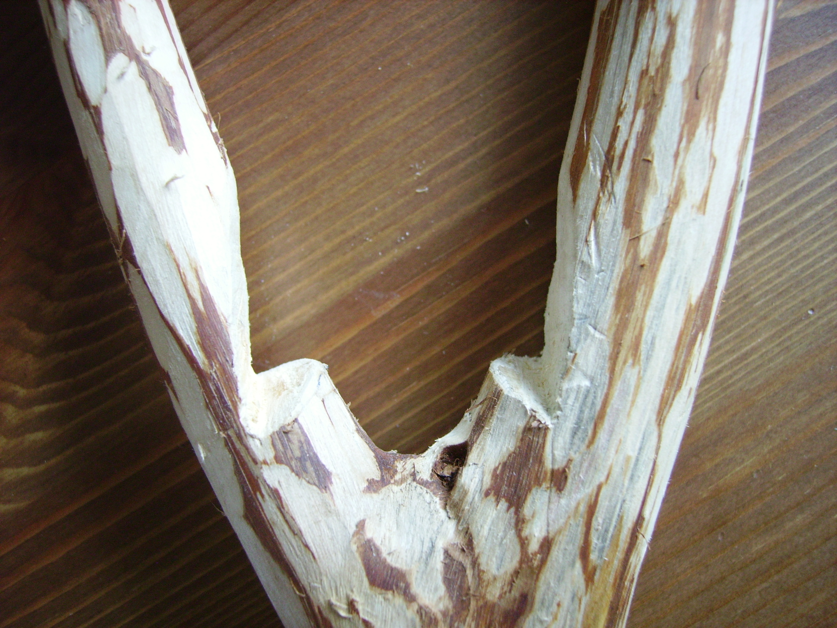 RIMG0987.JPG