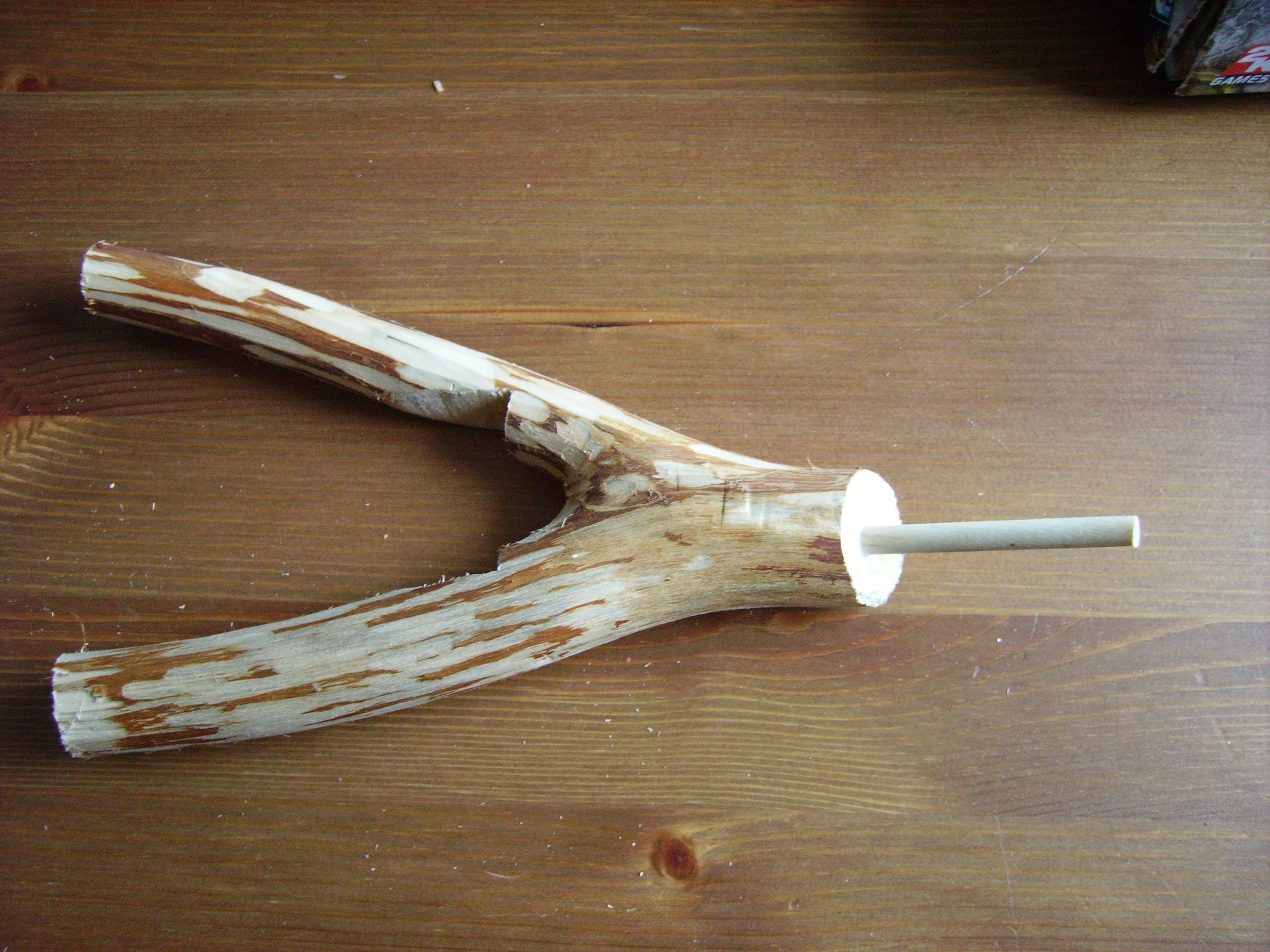 RIMG0999.JPG