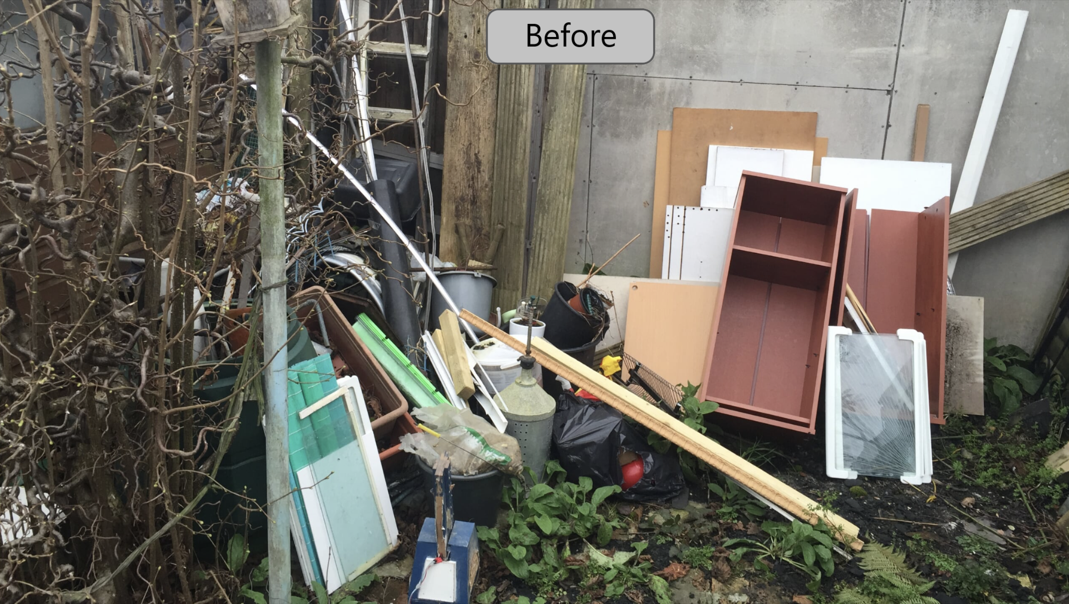 Rear Garden 3 Before.png