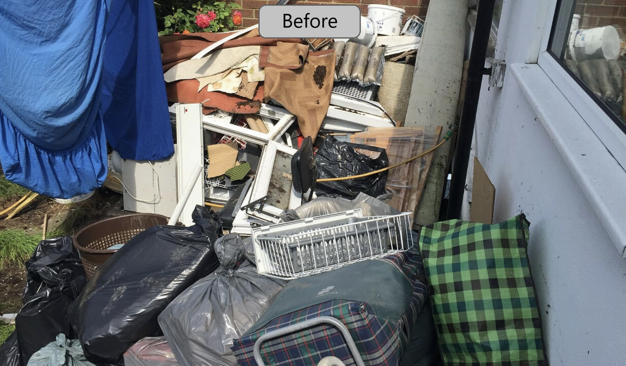 Rear Garden 4 Before.png