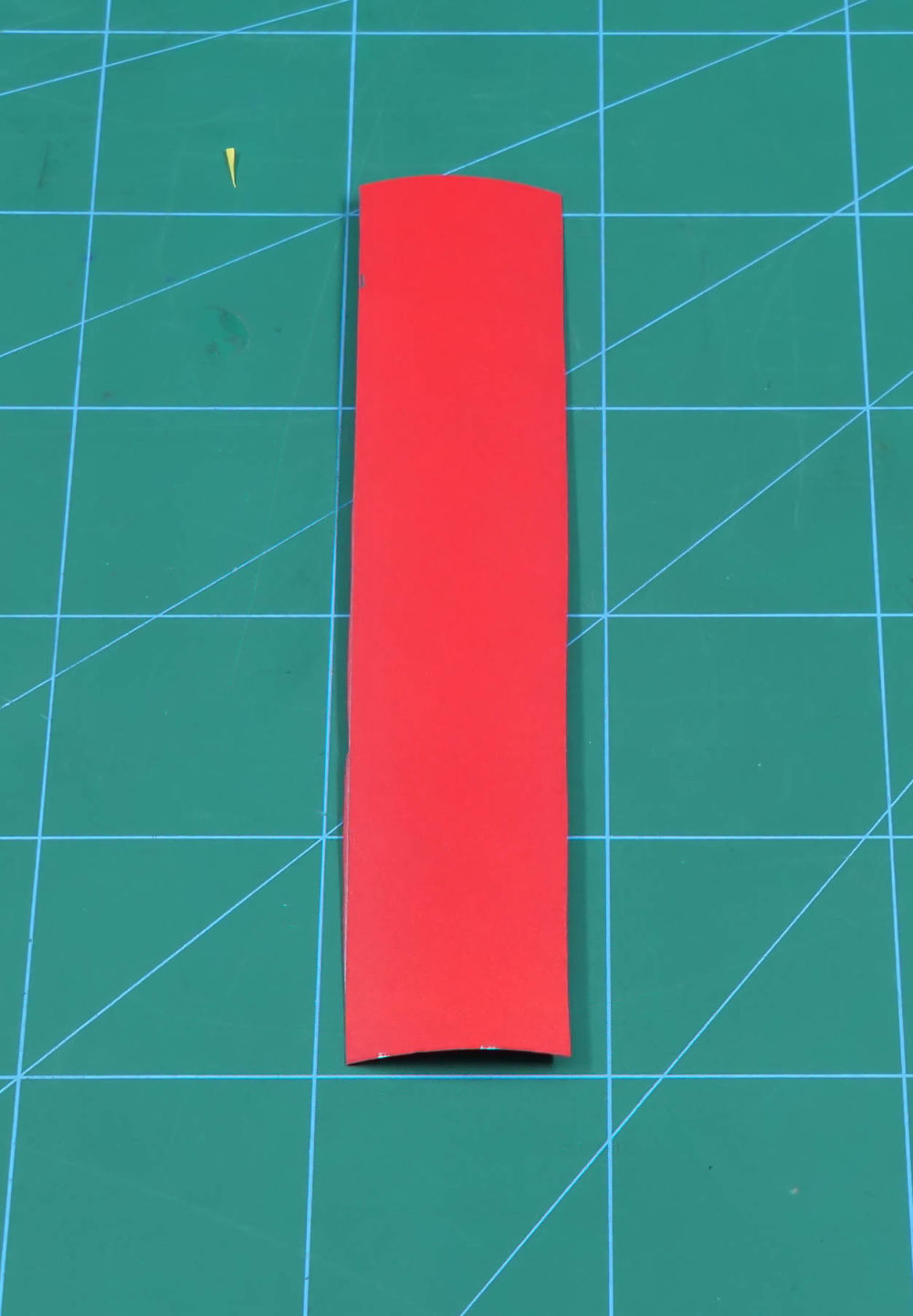 Red Drum Shell.jpg