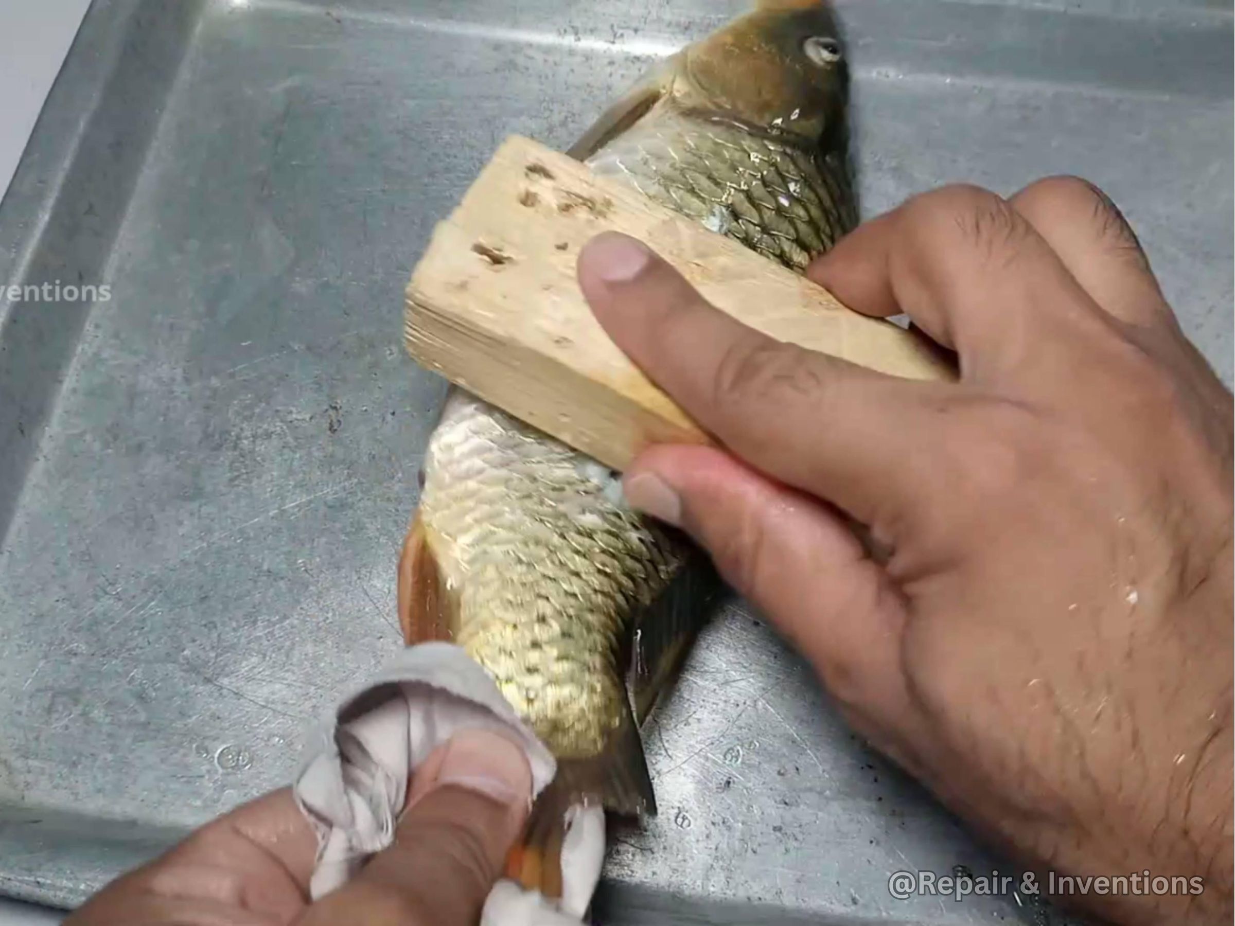 Remove Fish Scales Using the DIY Tool.jpg