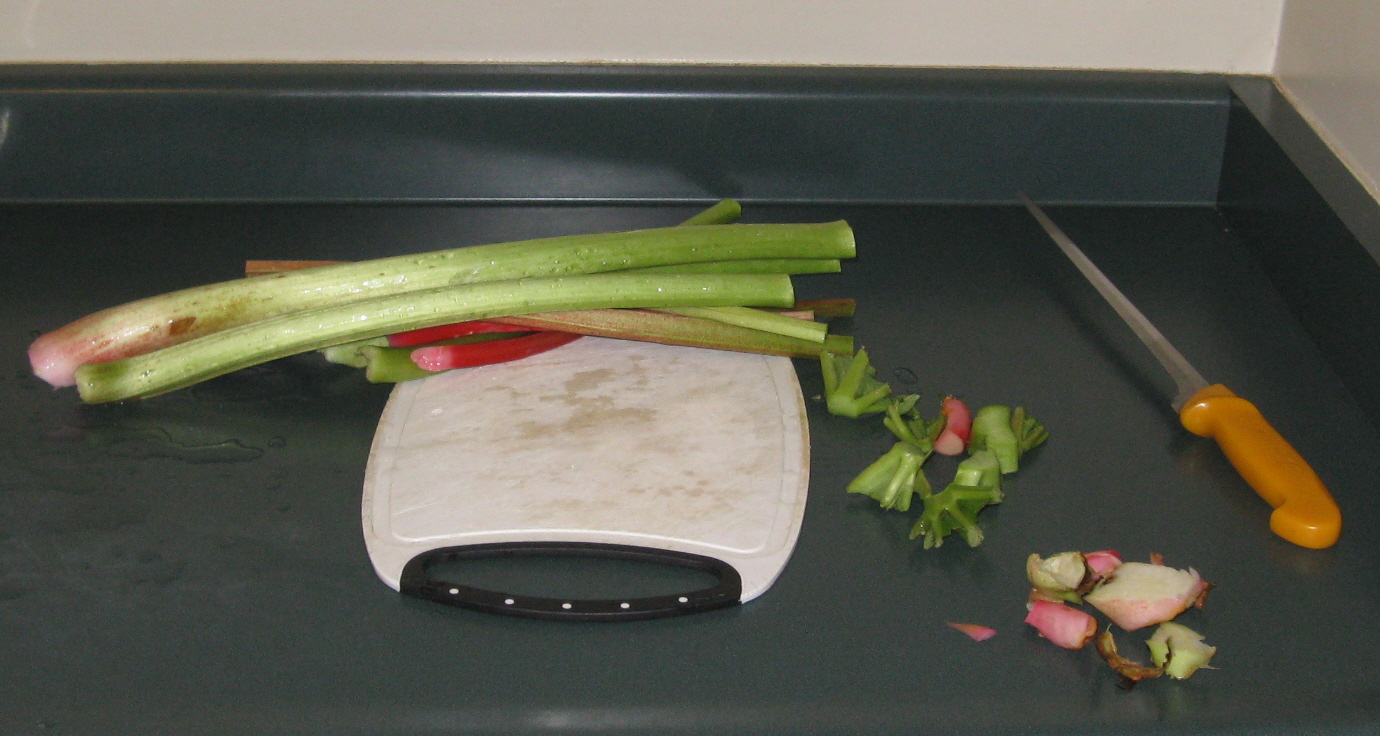 Rhubarb 2.JPG