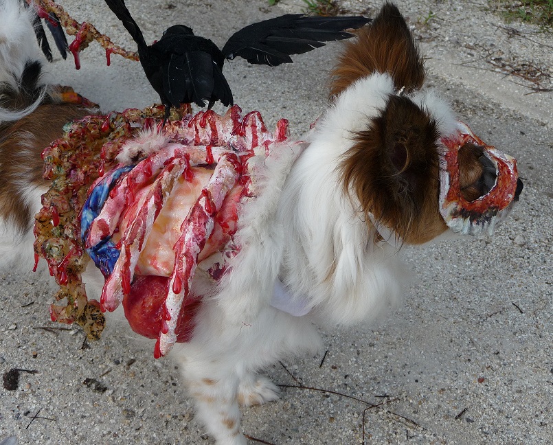 Roadkill Zombie Dog (Closeup of right side).jpg