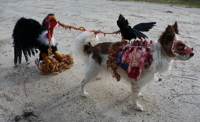 Roadkill Zombie Dog (right side).jpg