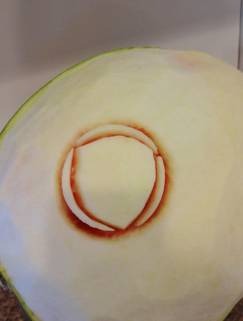 Rose Watermelon 023 (484x640).jpg