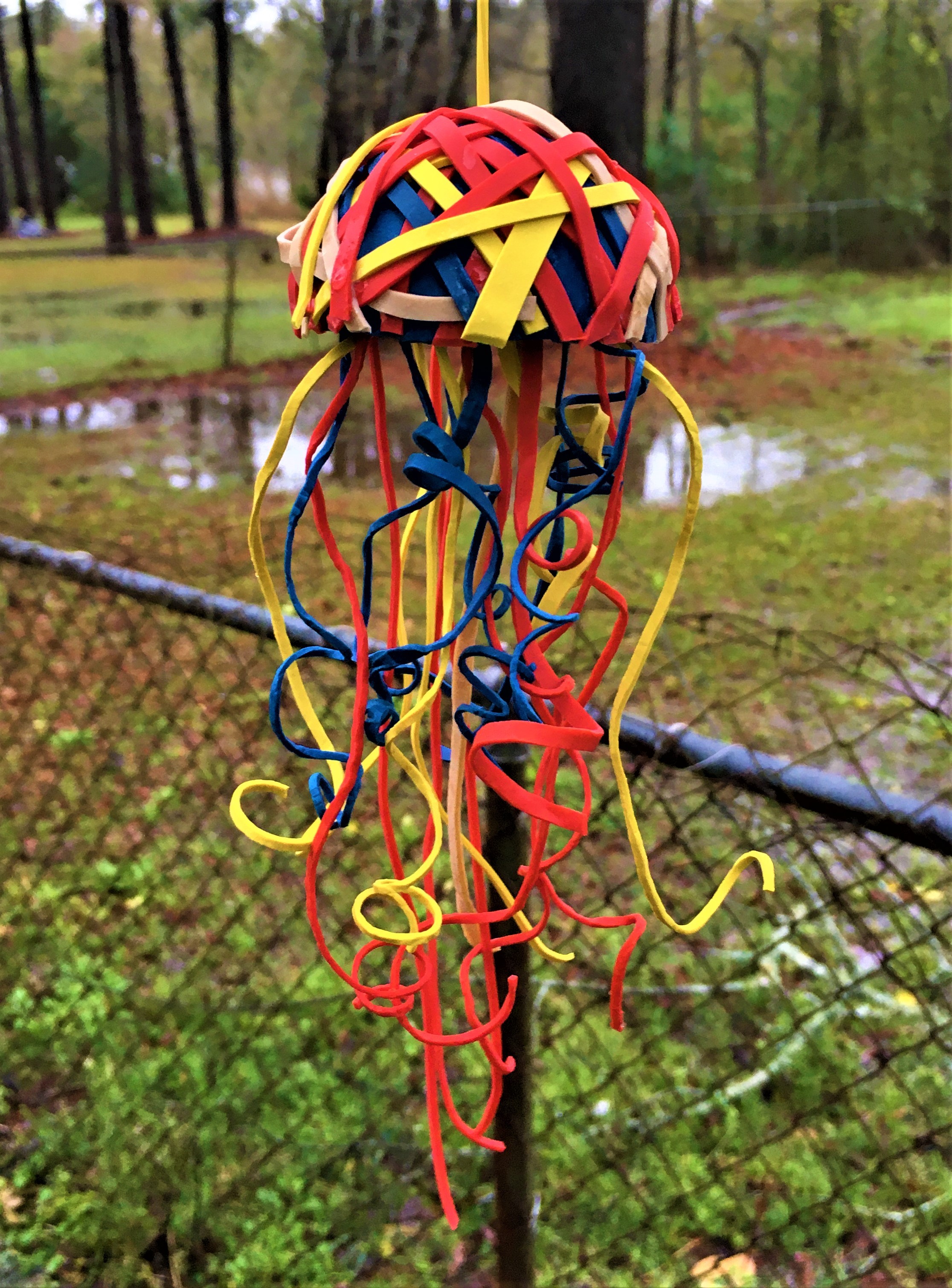 Rubber Band Jelly Fish.JPG