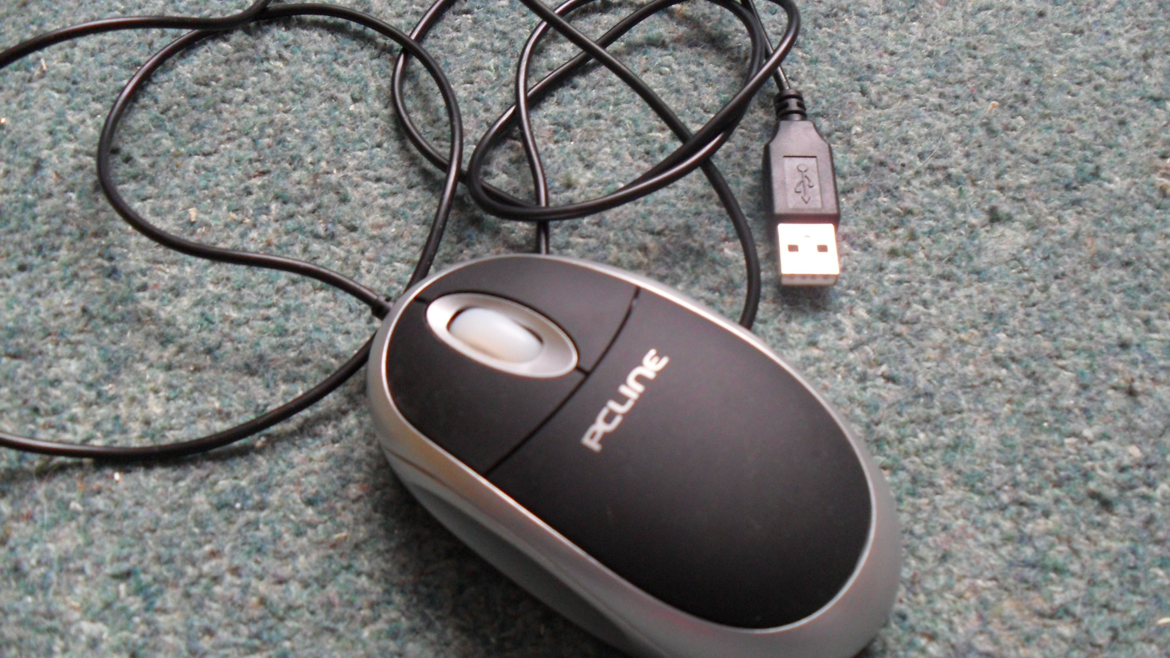 SAM_0215.JPG