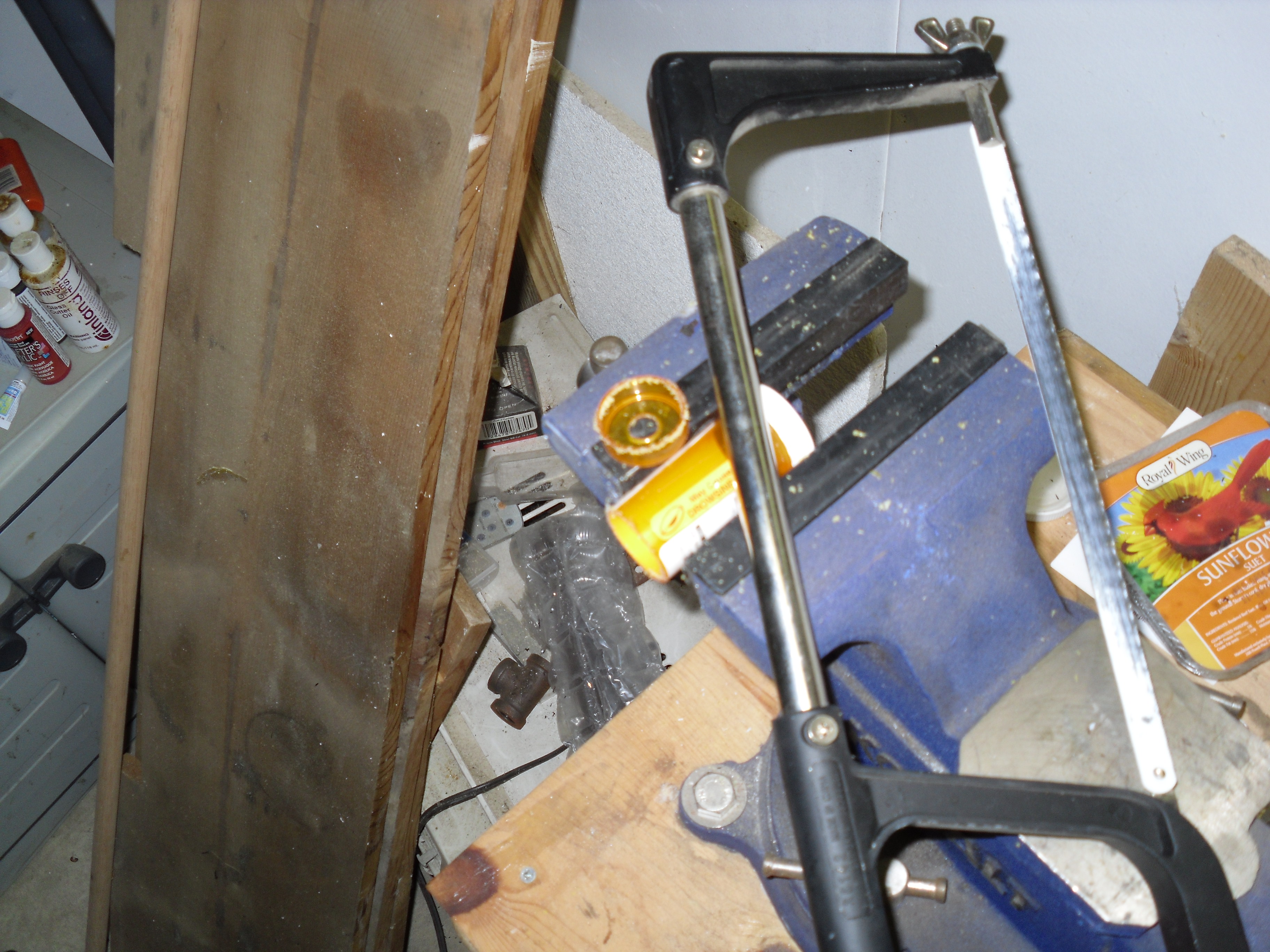 SDC10392.JPG