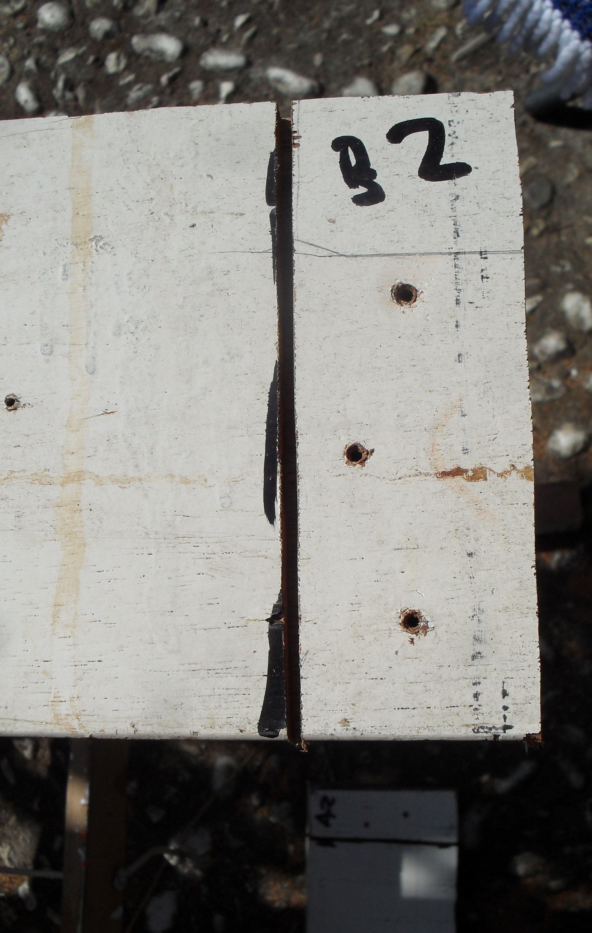 SDC13820.JPG